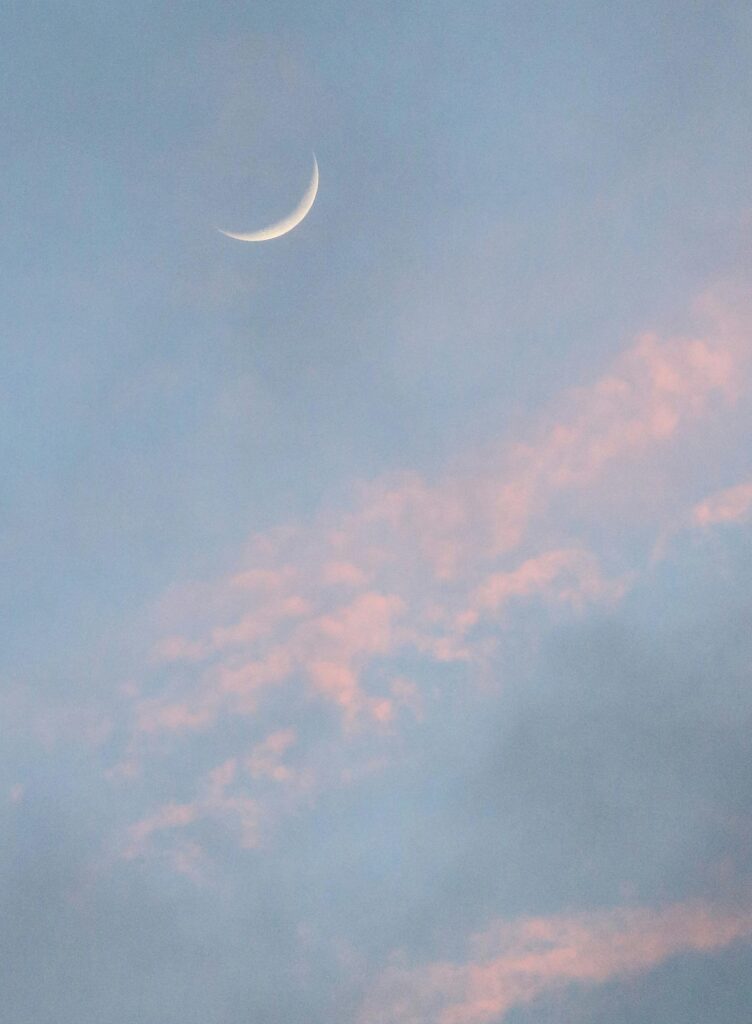 To All My Beautiful Crypto Mama's — The New Moon Just Gave Us Permission to Start A serene sky with a crescent moon and pink clouds over New York City.